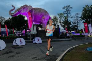 BIB: 
                            <button type="button" onclick="openModal(26529664)" class="btn btn-primary btn-sm float-right btn-popup" data-toggle="modal" data-target=".modal-high-quality">
                        <i class="fas fa-shopping-cart"></i> Add to Cart
                    </button>
                                            <button type="button" onclick="isThisMe(26529664, true)" class="btn btn-success btn-sm float-right btn-popup btn-isme hidden" data-toggle="tooltip" data-placement="bottom" title="นี่คือรูปของคุณใช่ไหม คลิกที่นี่เพื่อเอาเข้าอัลบั้ม">
                        <i class="fas fa-plus"></i> Add to album
                    </button>
                    <button type="button" onclick="isThisMe(26529664, false)" class="btn btn-warning btn-sm float-right btn-popup btn-isnotme hidden">
                        <i class="fas fa-ban"></i> Remove from album
                    </button>